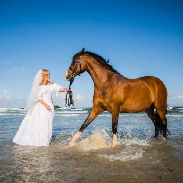 Trash the Dress - Sesión Fotográfica Única y Memorable